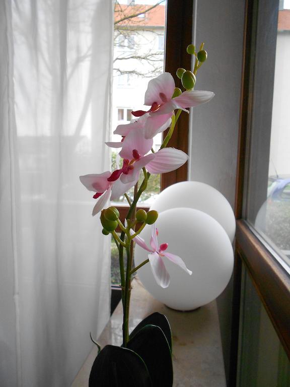 Apartments Hofgarten レーゲンスブルク 部屋 写真